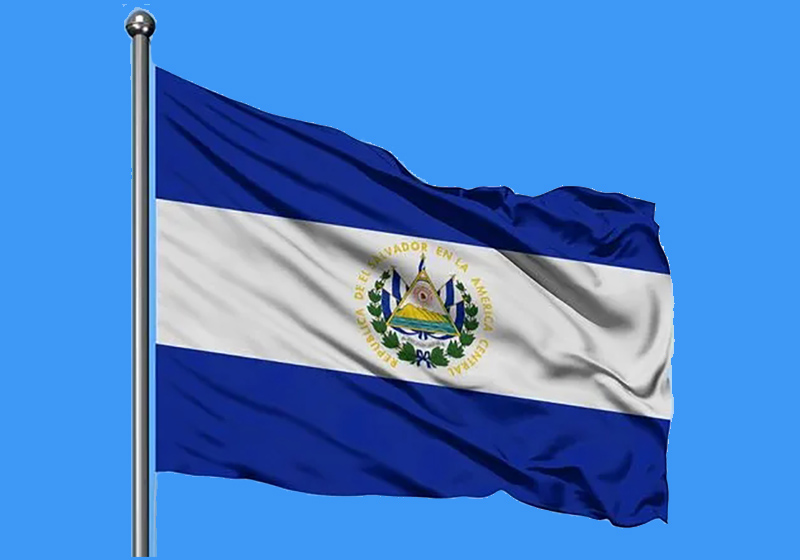 摩爾瓦多電子火因合規要求