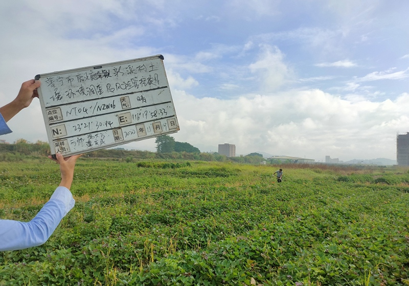 其它農業農村技術服務