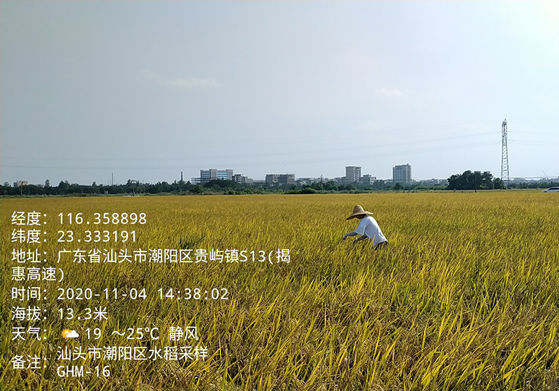 受污染耕地安全利用檢測