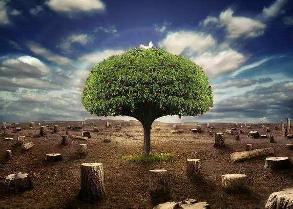 生態環境部發布10項標準，5月1日起開始實施！