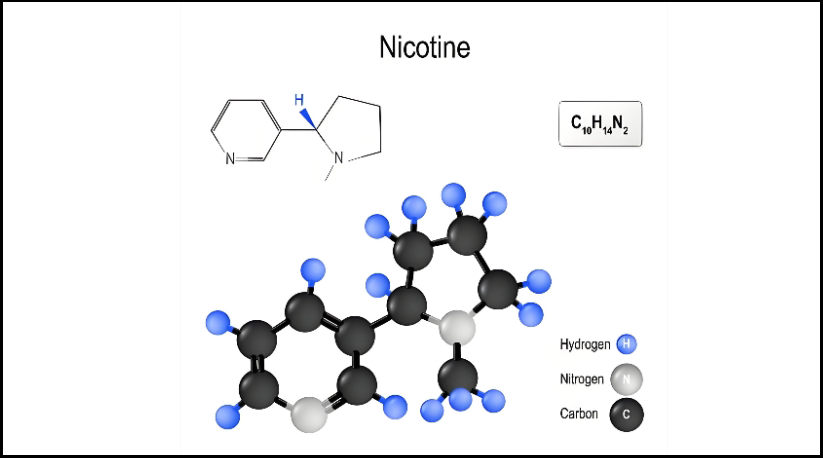 1765336142129636.png 444444.png